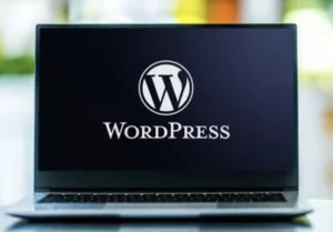 WordPress常见问题论坛-WordPress常见问题版块-网站建设-站长窝