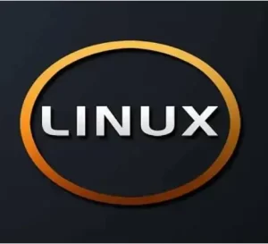 Linux论坛-Linux版块-系统运维-站长窝