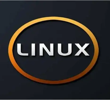 Linux神级命令：一键生成巡检报告-站长窝